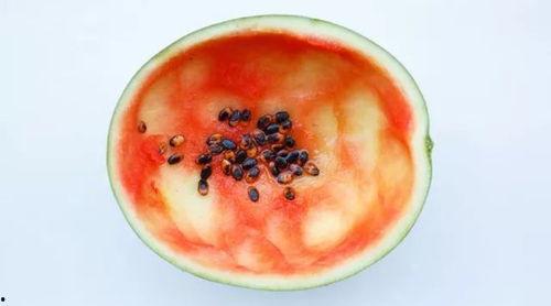 吃瓜不用勺子吗,告别勺子,轻松享受夏日清凉