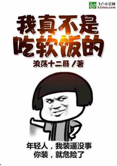 吃瓜娃子小说,揭秘娱乐圈背后的秘密与真相