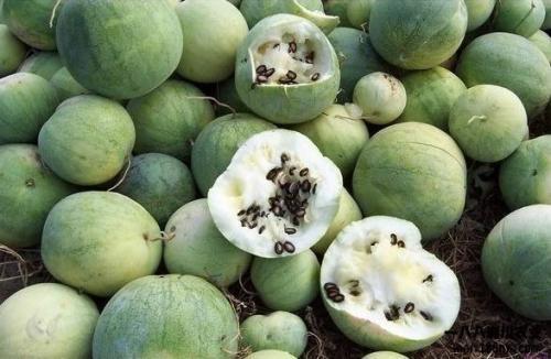 全球热门吃瓜网,揭秘娱乐圈最新热点,带你领略八卦风云