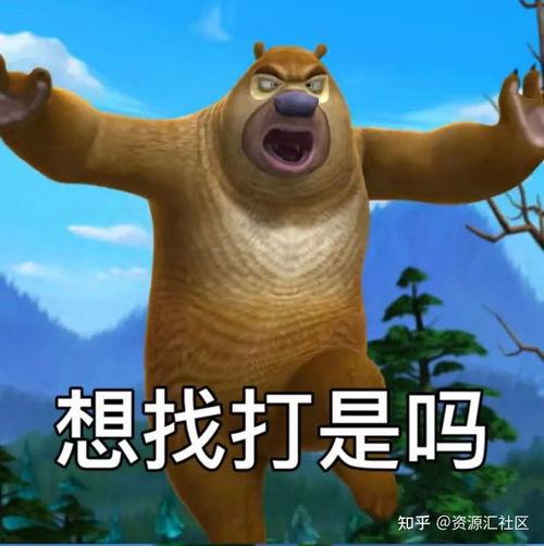 熊出没吃瓜表情,吃瓜群众的欢乐时光