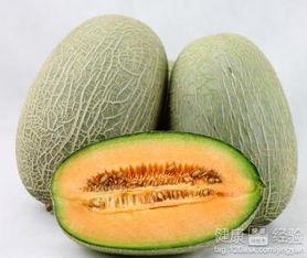 疥虫可以吃哈密瓜吗,探究瓜果与寄生虫的微妙关系