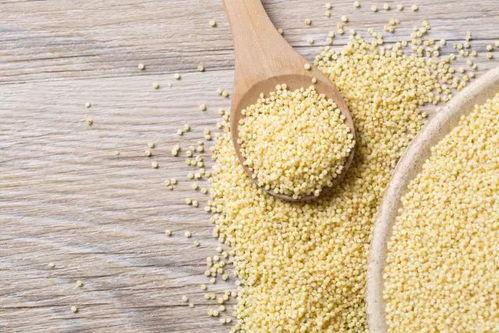 吃我瓜和小米,科技与娱乐的跨界融合