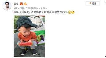 超萌吃瓜事件,网络狂欢背后的温情瞬间