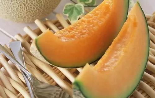 七个月可以吃哈密瓜汁吗,七个月宝宝适宜尝试的哈密瓜汁探索