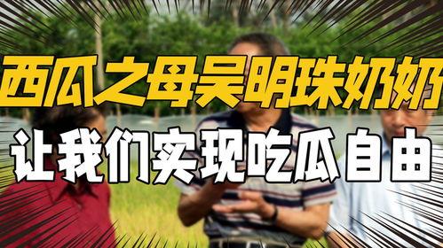 吃米不忘袁隆平吃瓜不忘