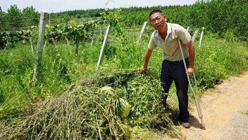 各界吃瓜,娱乐圈最新瓜料大揭秘!