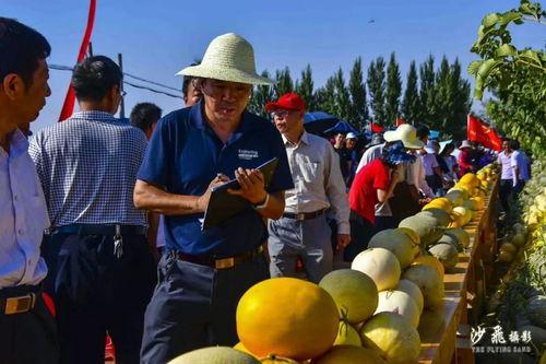 各界吃瓜,娱乐圈最新瓜料大揭秘!